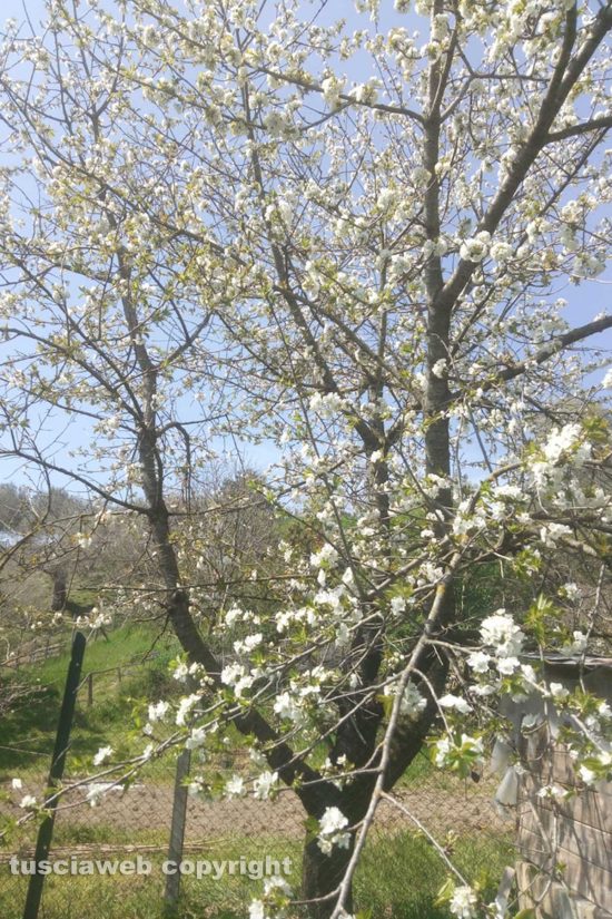 Schermata-2021-04-07-alle-10.10.08