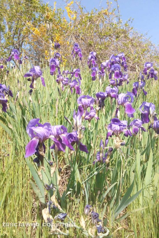 Schermata-2021-04-07-alle-10.10.10