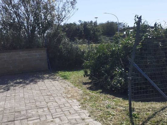 I "giardini della rimembranza"