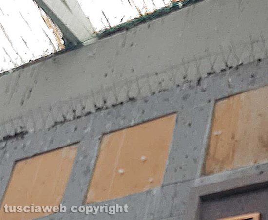 Escrementi di piccione al cimitero di Bagnaia