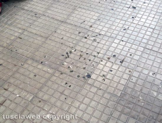 Escrementi di piccione al cimitero di Bagnaia