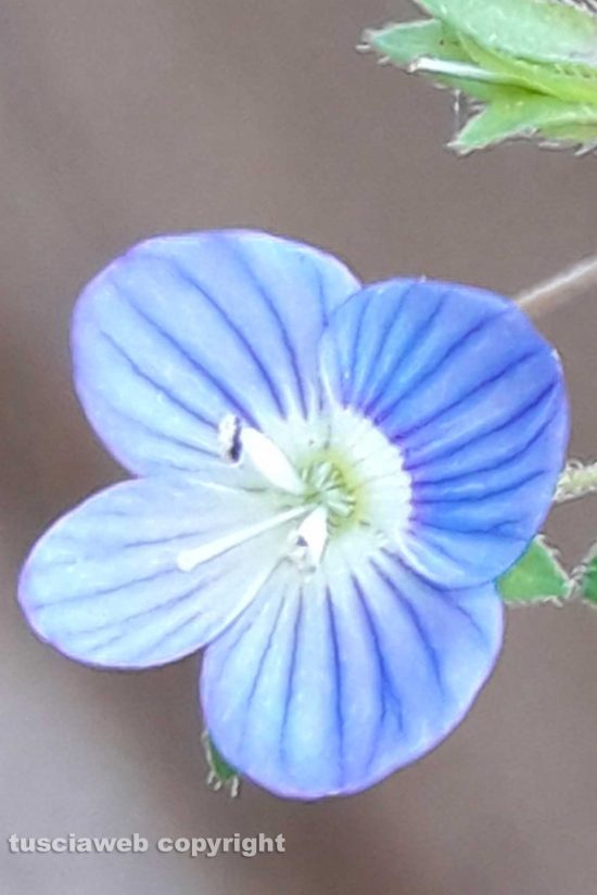 WhatsApp-Image-2021-03-31-at-19.23.55