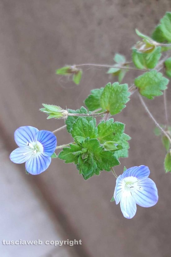 WhatsApp-Image-2021-03-31-at-19.24.13-(1)