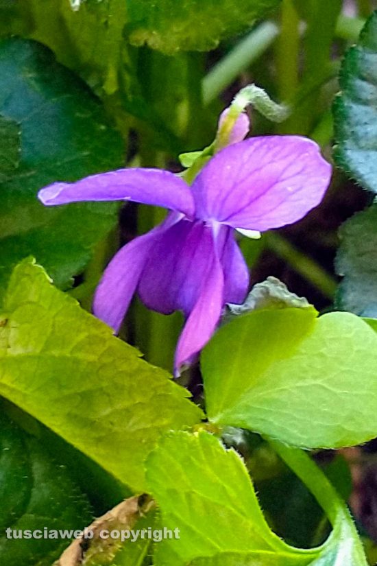 WhatsApp-Image-2021-04-03-at-07.21.25-(1)