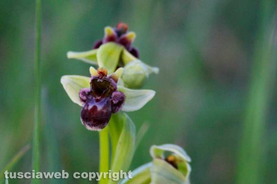 WhatsApp-Image-2021-04-04-at-21.26.45