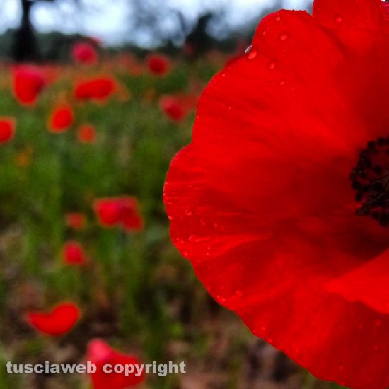 WhatsApp-Image-2021-04-08-at-16.30.04-(1)