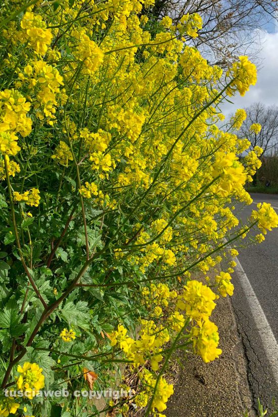 WhatsApp-Image-2021-04-13-at-09.53.59