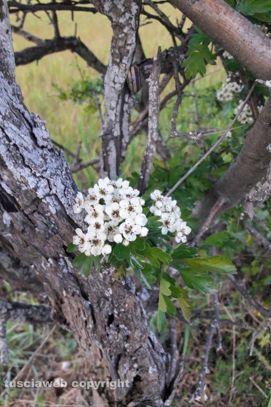 WhatsApp-Image-2021-04-15-at-22.10.21