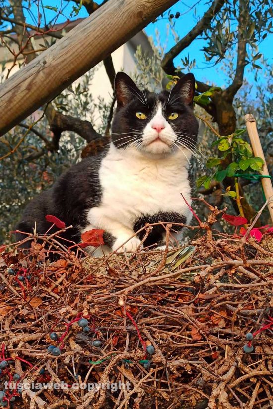 WhatsApp-Image-2021-04-16-at-11.24.08-(1)