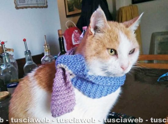 187436528_10226100641842186_5045905912472751143_n