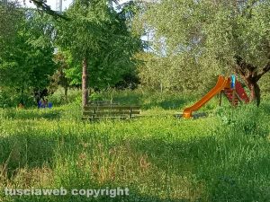 Viterbo - Erba alta al Pilastro