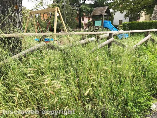 Viterbo - Erba alta Erba alta nel giardinetto a Tobia