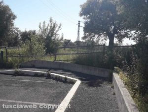 Viterbo - Erba alta a Ponte dell'Elce