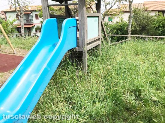 Viterbo - Erba alta Erba alta nel giardinetto a Tobia