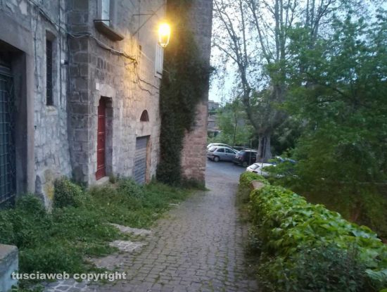 Viterbo - Incuria al Paradosso