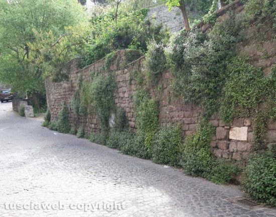 Viterbo - Erba alta al giardino di Valle Faul