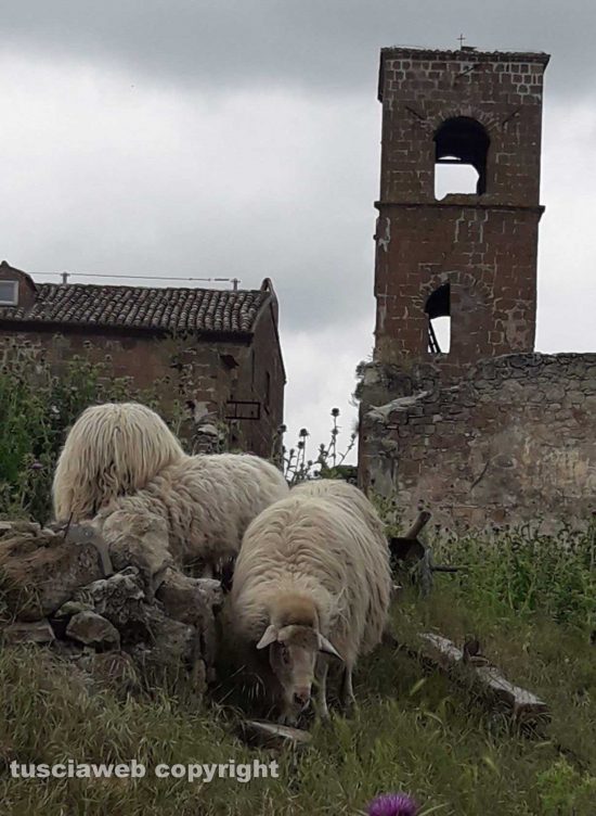 Celleno - Il borgo fantasma