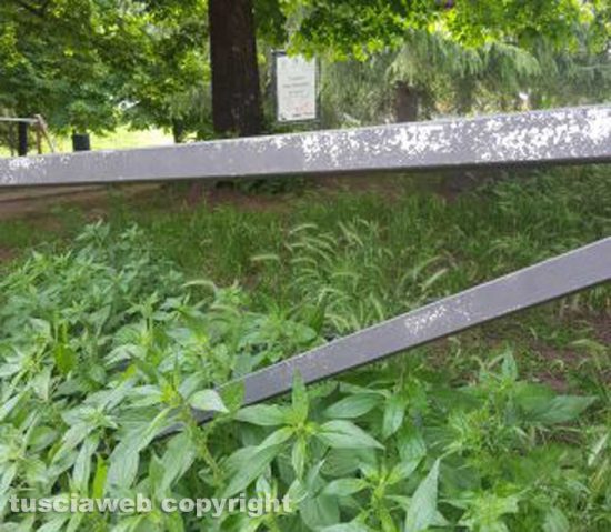 Viterbo - Erba alta al Giardino della solidarietà e del sorriso