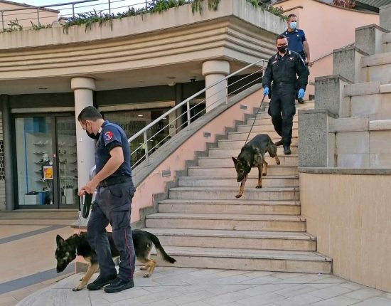 Civita Castellana - I controlli del carabinieri del nucleo cinofilo