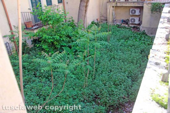 Viterbo - Piazza Dante