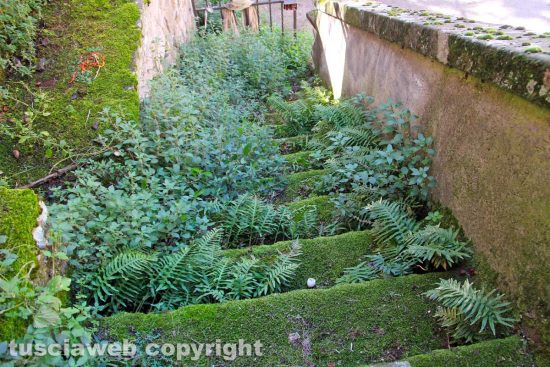 Viterbo - Piazza Dante