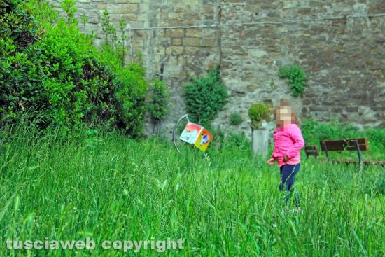 Viterbo - Il giardino Chiara Lubich