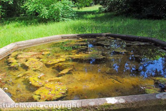 Viterbo - Bagnaia - Una fontana all'interno di Villa Lante