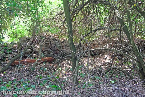 Viterbo - Bagnaia - Incuria e degrado a Villa Lante