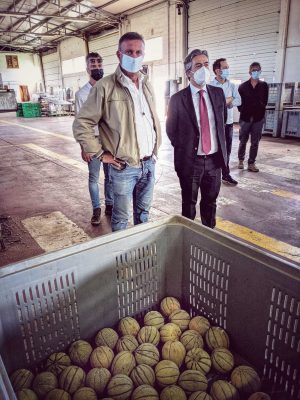 Viterbo - Il sottosegretario alle politiche agricole Francesco Battistoni sul litorale viterbese per una serie di incontri in rappresentanza del governo