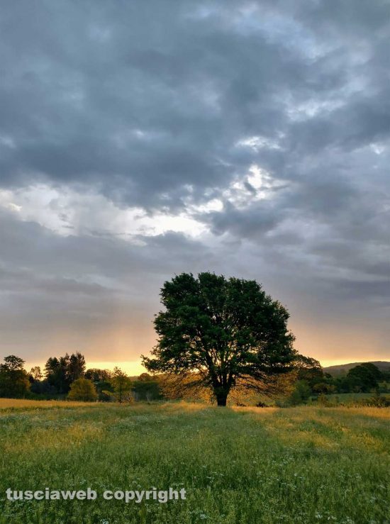 Schermata-2021-05-11-alle-19.47.01