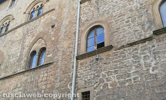 Viterbo - Piccione impiccato in centro