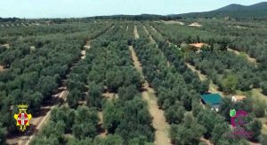 Tarquinia - All'istituto Cardarelli arrivano le lezioni di agricoltura dell'università agraria