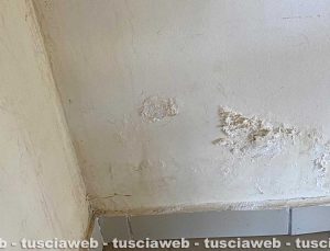 Viterbo - Infiltrazioni alla scuola materna di Tobia