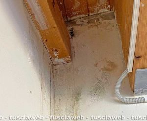 Viterbo - Infiltrazioni alla scuola materna di Tobia