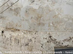 Viterbo - Infiltrazioni alla scuola materna di Tobia