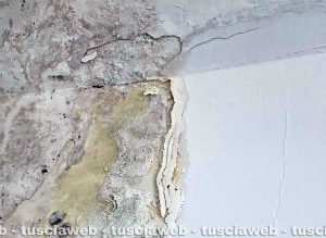 Viterbo - Infiltrazioni alla scuola materna di Tobia