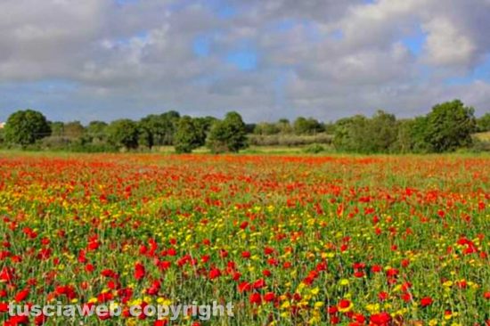 WhatsApp-Image-2021-05-14-at-07.39.47