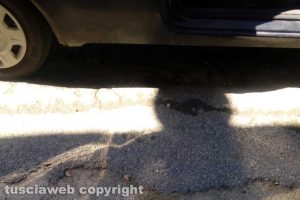 Vignanello - La buca