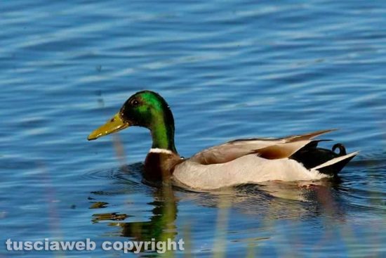 WhatsApp-Image-2021-05-18-at-21.32.42-(1)