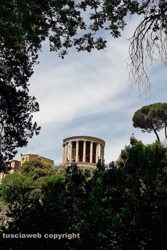 WhatsApp-Image-2021-05-18-at-21.43.41