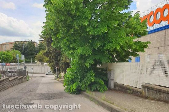 Viterbo - Il marciapiede in via Ramacci