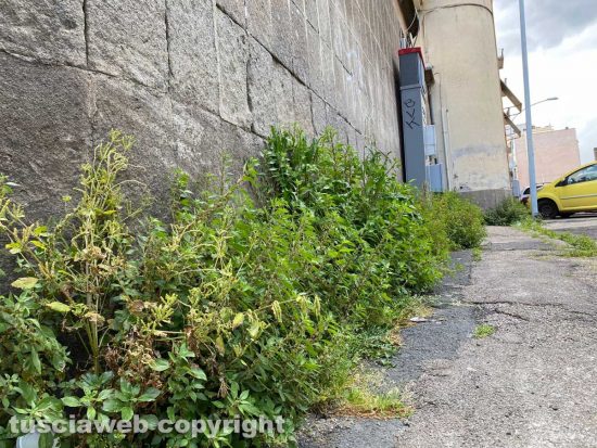 Degrado vicino alla Roma nord