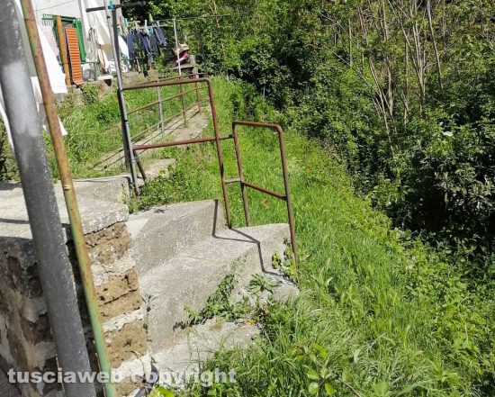 Ronciglione - Erba alta in via Testaccio di Sopra