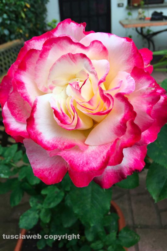 WhatsApp-Image-2021-05-23-at-10.10.47-(1)