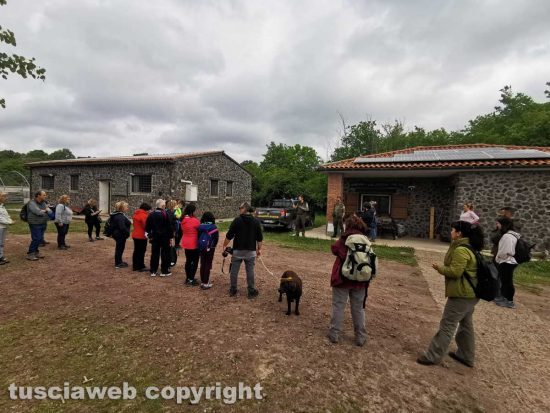 Farnese - La passeggiata nella Selva del Lamone