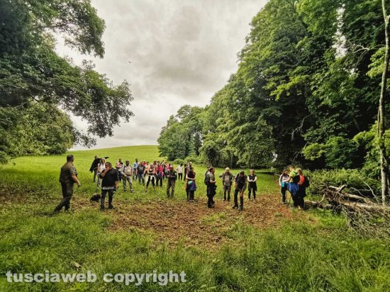 Farnese - La passeggiata nella Selva del Lamone