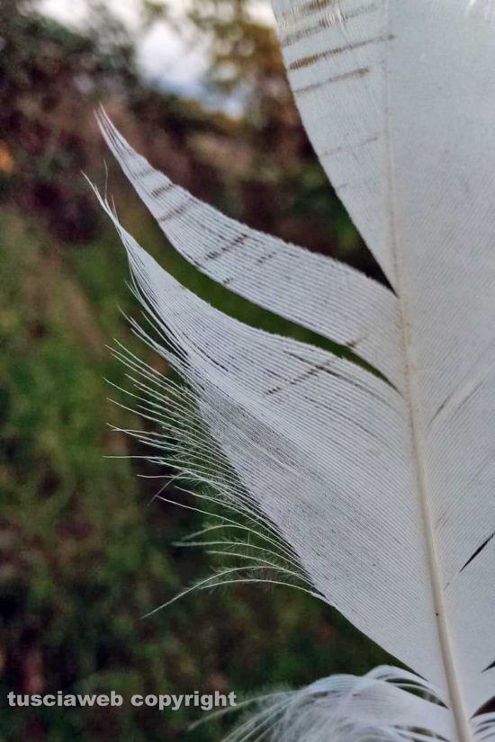 WhatsApp-Image-2021-05-25-at-22.02.20-(1)