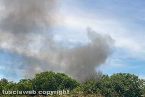 Monterosi - Incendio a ridosso della Cassia