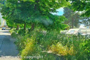 Viterbo - Incuria al Murialdo