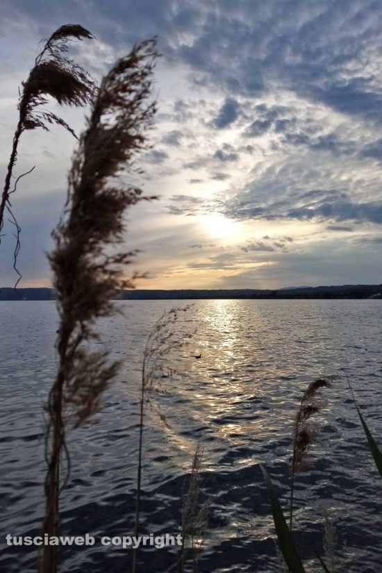 WhatsApp-Image-2021-05-30-at-23.35.32